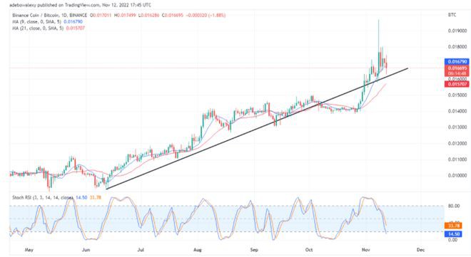 今日币安币的价格预测