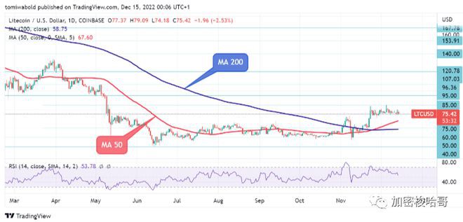 快速的鲸鱼增持将带LTC价格走多远?