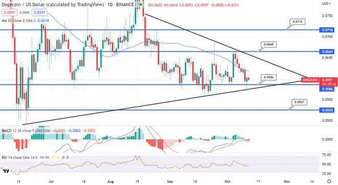 狗狗币价格预测——谷歌接受其云支付DOGE杀死零？