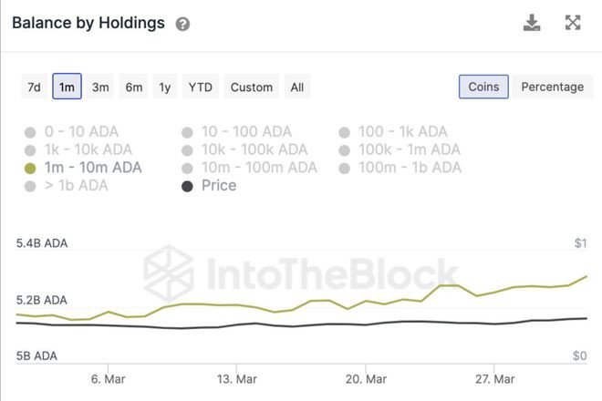 ADA价格面临拒绝:价格会在同一价格水平内整合吗?