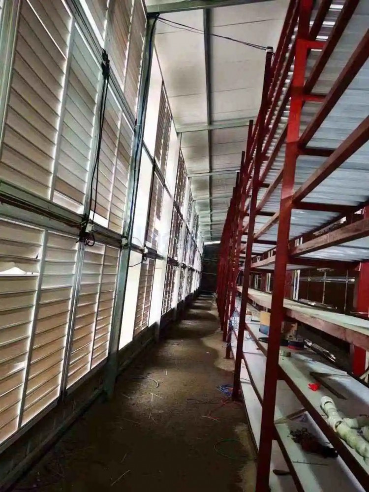 万字回望比特币发展史:15年4300万倍