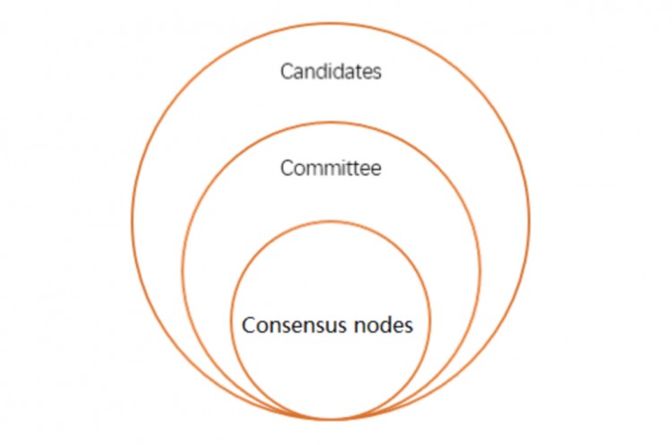 周涨幅近3倍解读GAS代币与公链NEO底层机制