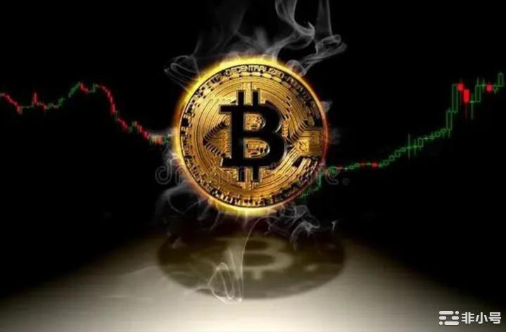 马斯克再喊DOGE狗狗币直线飙升!还有哪些值得关注的山寨币