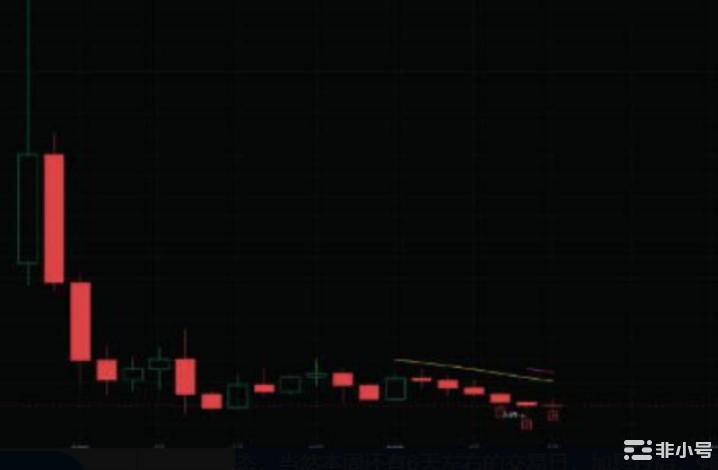 马斯克再喊DOGE狗狗币直线飙升!还有哪些值得关注的山寨币