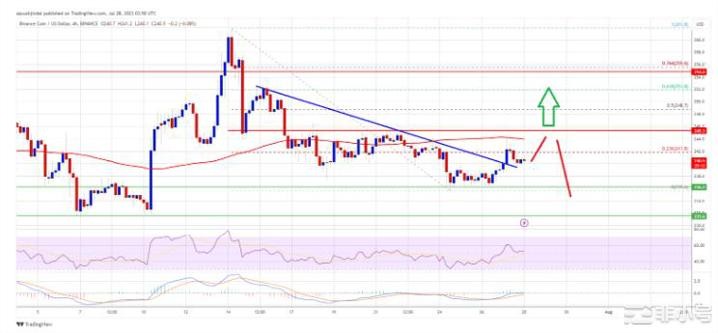 BNB价格再次上涨还是迎来新一轮下跌?
