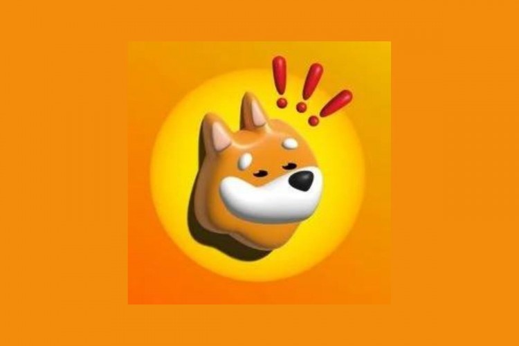 SOLANAMEMECOINBONK价格超越DOGE和SHIB期待圣诞老人集会