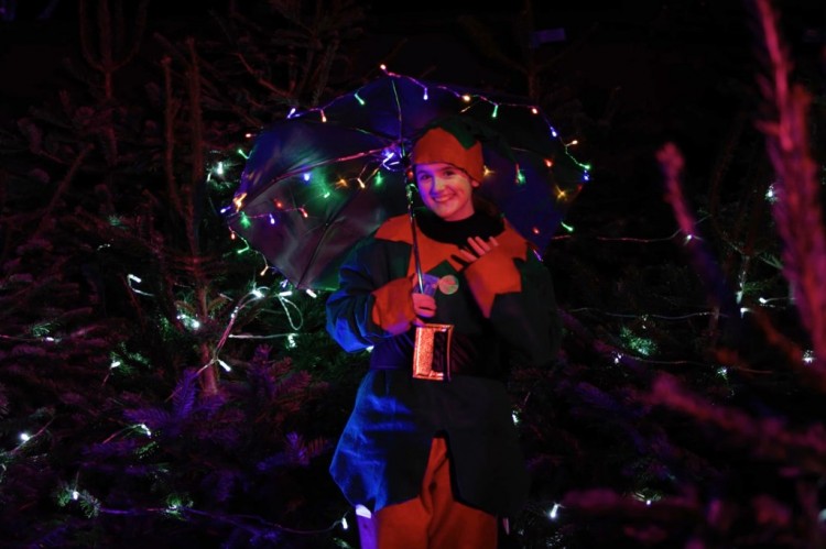 照亮泽西岛800棵回收圣诞树可能有助于创造世界纪录