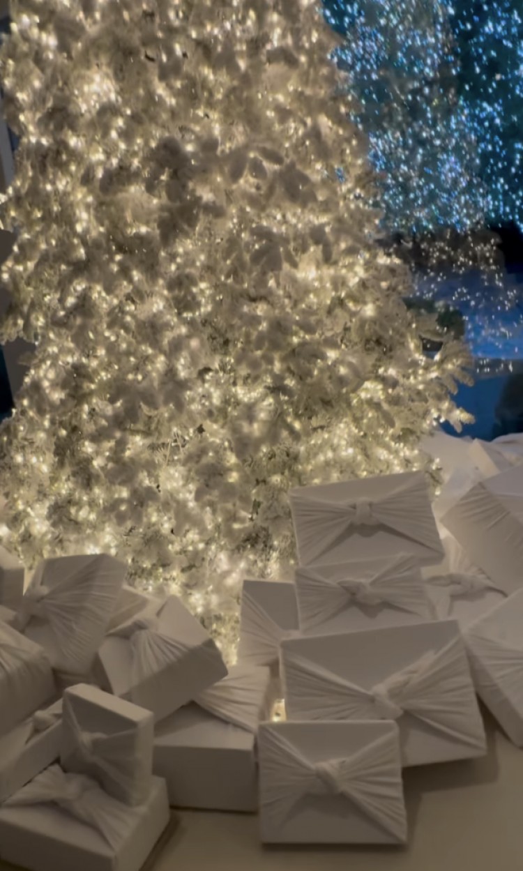 贝森尼弗兰克尔BETHENNYFRANKEL嘲笑金卡戴珊KIMKARDASHIAN的圣诞装饰品这是你最好的作品