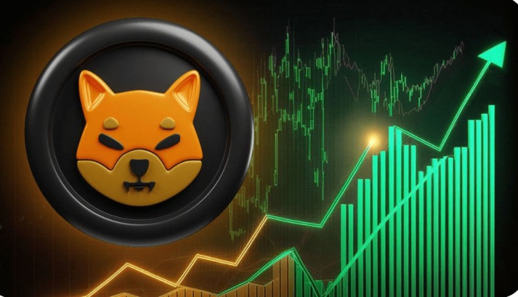 柴犬代币（SHIB）鲸鱼活动异常增加，价值激增至6400万美元 - 令人