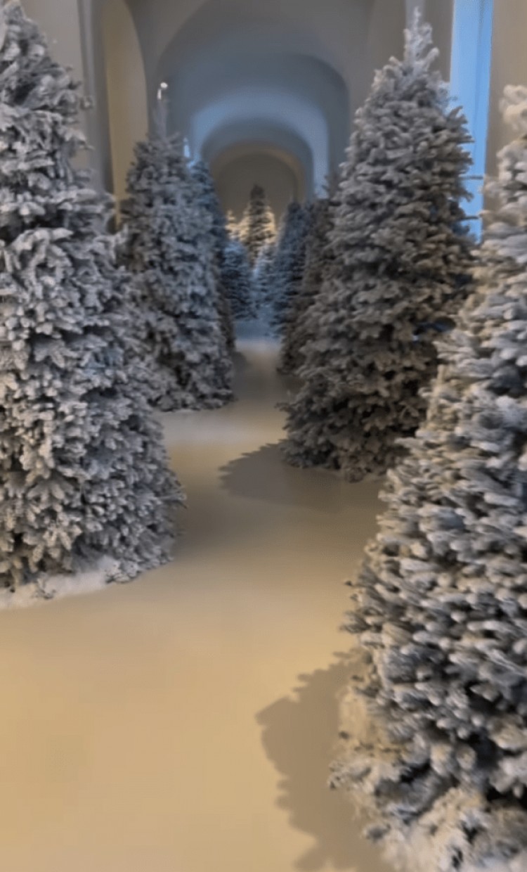 金卡戴珊KIMKARDASHIAN在与科勒KHLOÉ的激烈锻炼中展示了她细碎的背部肌肉