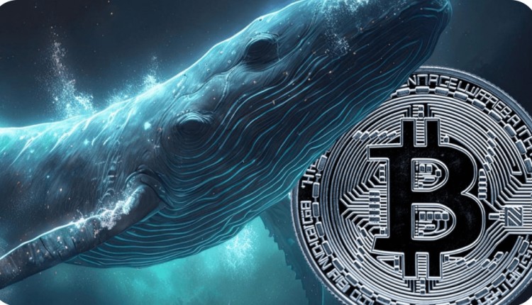 比特币鲸鱼在市场崩盘前出售BTC赚取了126的利润2023年最新