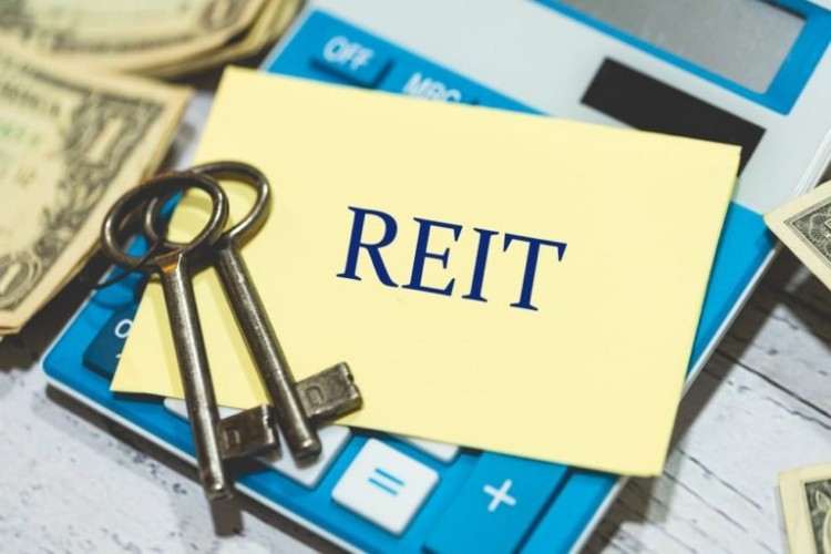 2024年排名前三的房地产投资信托基金