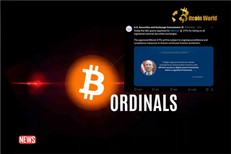 美国证券交易委员会SEC主席加里詹斯勒GARYGENSLER的虚假推文在<a title='注册并实名送比特币' href='https://okk.meibanla.com/btc/okex.php' target='_blank' class='f_a'>比特币</a>序数上永垂不朽