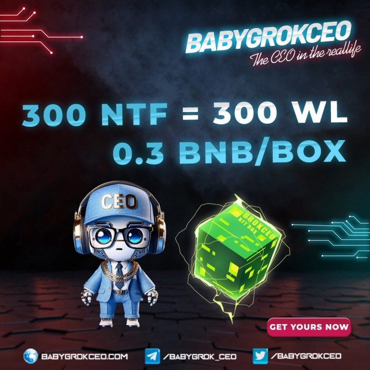 BABYGROKCEO是什么