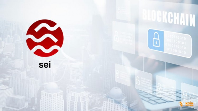 SEINETWORK价格分析新高或下跌SEO标题