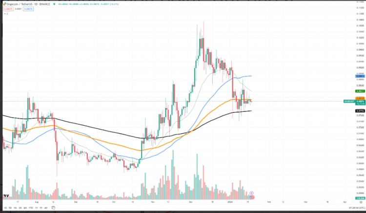 2024年狗狗币DOGE价格反弹预测