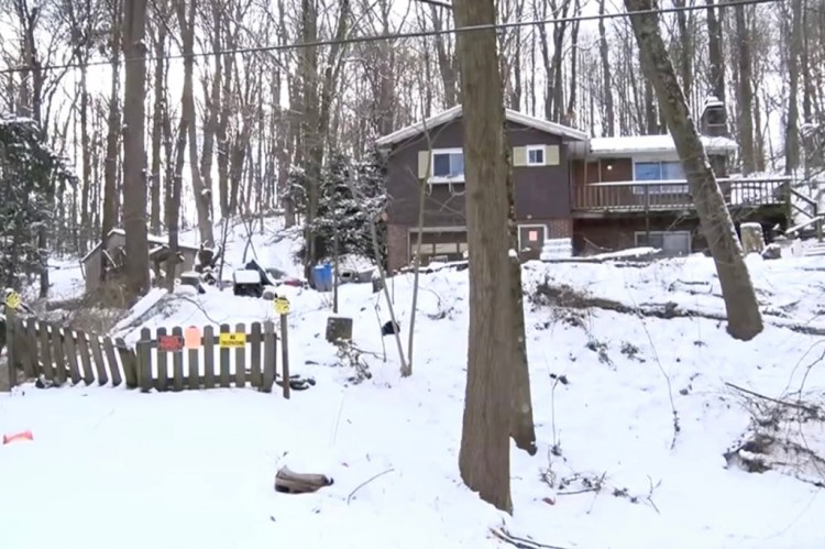 每个缝隙里都有动物夫妇肮脏的家里发现了77只动物