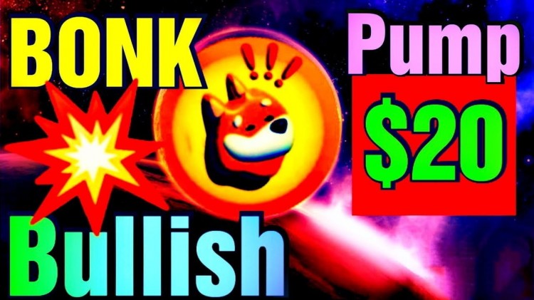 BONK 2024价格预测：可能达到0.01美元？交易员对BONK未来价