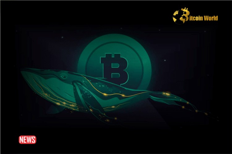 BITCOINWHALESSOLD3BILLIONINBTCISANOTHERPRICEPLUNGECOMING