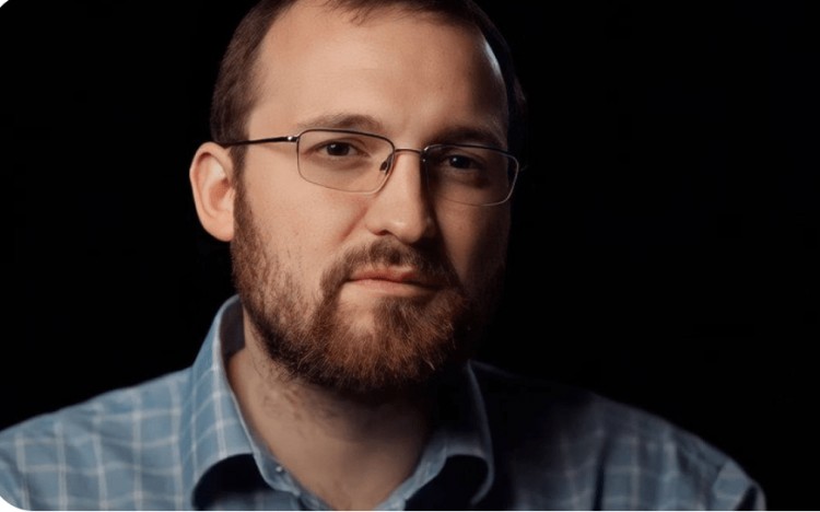 卡尔达诺创始人讨论USDC集成难题回应批评者