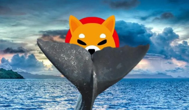 巨型柴犬鲸鱼积累数万亿只比特币价格前景爆炸性增长突发新闻