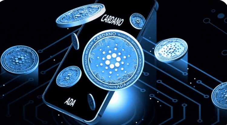 卡尔达诺ADA社交关注度或将超越比特币BTC市值及价格走势影响