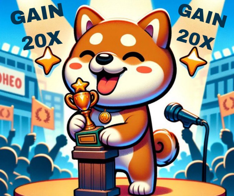 2024年BONKBONKMEME币交易者20倍收益预测