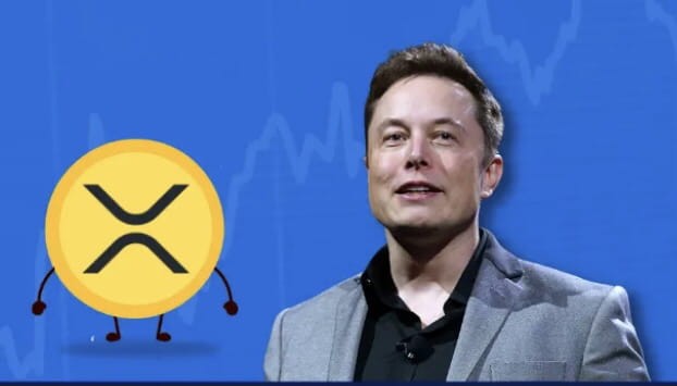 XRP 分析师预测和价格目标的详细解读【2022年最新】