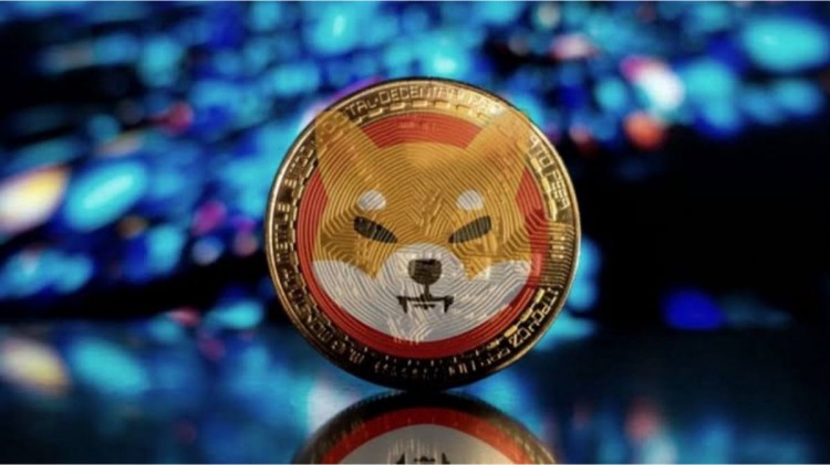 据报道柴犬鲸鱼出售了4210亿美元的SHIB