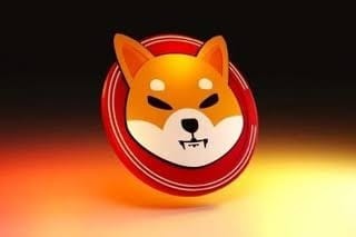 Shiba Inu (SHIB) 生态系统预测 800% 飙升，市场充满