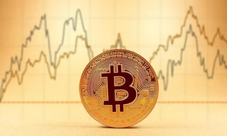 WHENTOSELLDOGECOINANDSHIBEASYREFERENCESTANDARDSFORALTCOININVESTORS