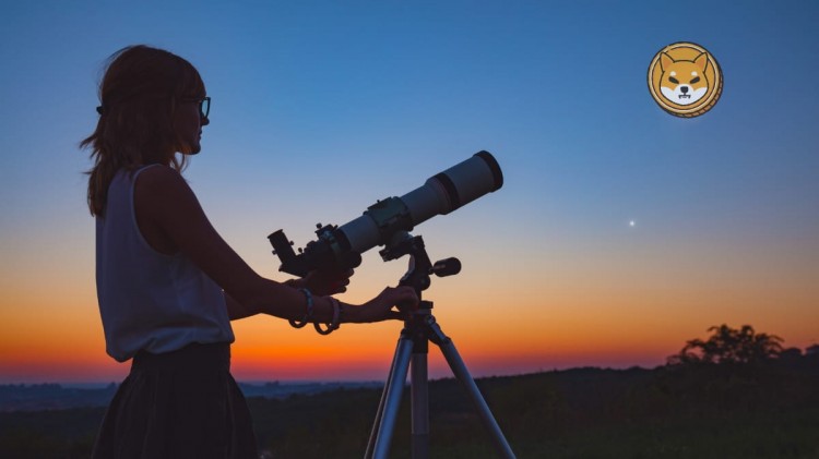 柴犬即将迎来大事草间弥俊分享神秘线索