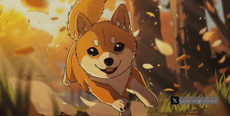 Shiba Inu Coin Debut and Airdrop for