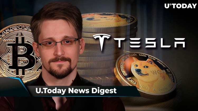 爱德华斯诺登发出重要的<a title='注册并实名送比特币' href='https://okk.meibanla.com/btc/okex.php' target='_blank' class='f_a'>比特币</a>警告特斯拉正式添加DOGE作为支付选项但