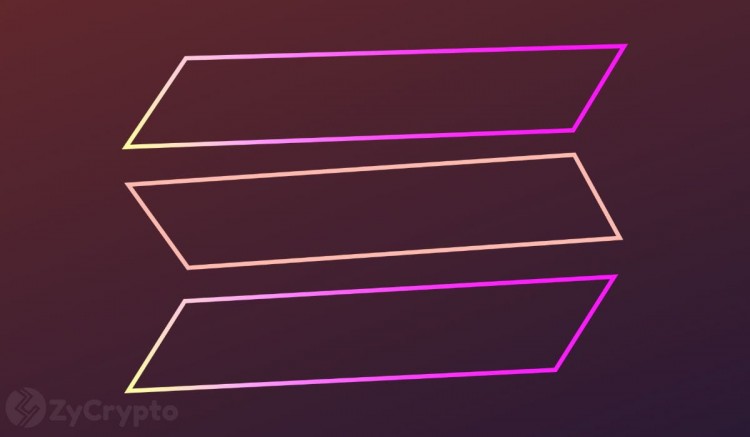 Solana 联合创始人为 Meme 币提供了强有力的支持；聚焦 Mem