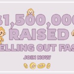 MOONBAG2024年最热门的MEMECOIN预售超越DOGEVERSE和TONCOIN