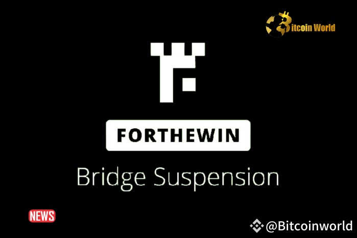 FORTHEWINNETWORK识别并修复NEO到以太坊和POLYGONBRIDGE<a title='合约交易开户' href='https://okk.meibanla.com/btc/okex.php' target='_blank' class='f_c'>合约</a>中的错误